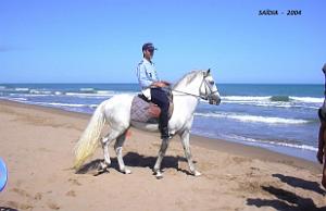 2004 09 SAIDIA FRONTIERE ALGERO MAROCAINE (22)